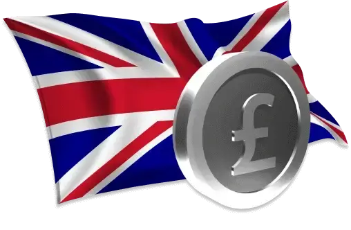 Flag icon